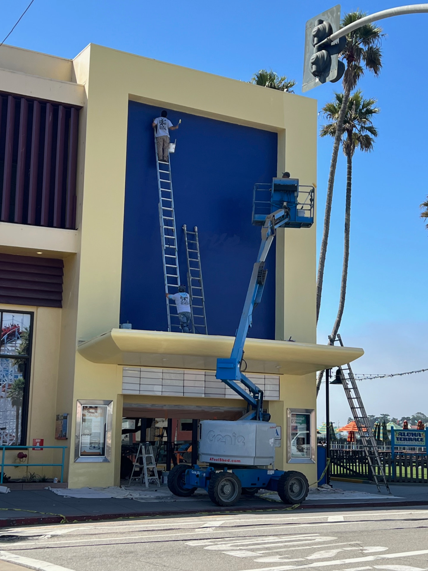Painters cutting in the large navy feature wall